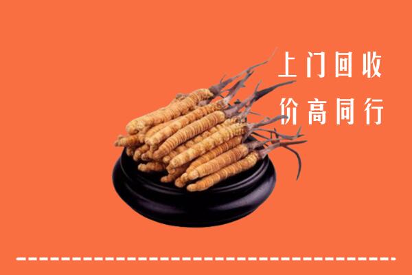 高价求购：龙凤区回收散虫草
