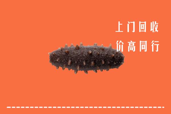 龙凤区回收海参